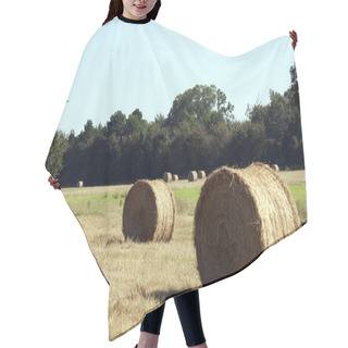 Personality  Round Hay Bales In Field Hair Cutting Cape