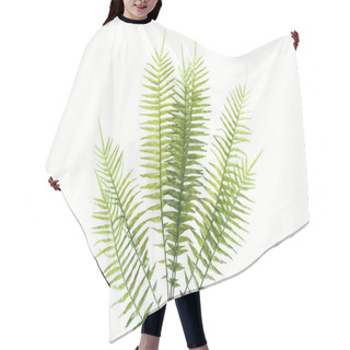Personality  Top View Of Green Fern Branches Isolated On White, Minimalistic Concept Hair Cutting Cape