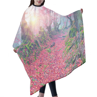 Personality  Beech Forest In Autumn Mountains Hair Cutting Cape