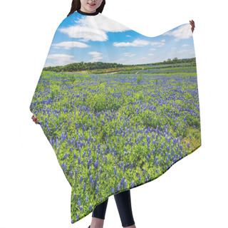 Personality  Wide Angle View Of Famous Texas Bluebonnet (Lupinus Texensis) In Big Field Hair Cutting Cape