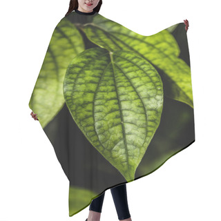 Personality  Green Leaves On Black Background Hair Cutting Cape