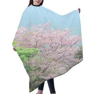 Personality  Cherry Blossom In The Springtime Hair Cutting Cape