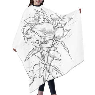 Personality  Abstract Elegant Vintage Template With Callas Hair Cutting Cape