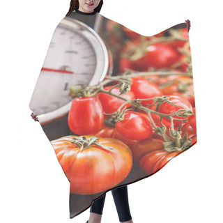 Personality  Fresh Tomatoes On Scales Hair Cutting Cape