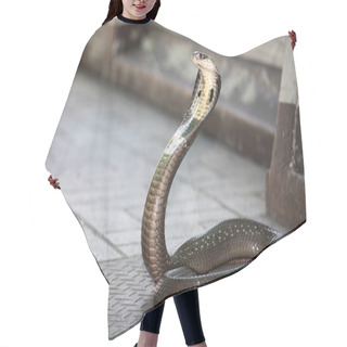 Personality  King Cobra Snake Hair Cutting Cape