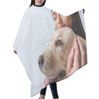 Personality  Selective Focus Of Woman Embracing Golden Retriever On White Background Hair Cutting Cape