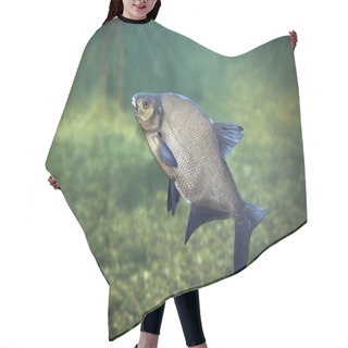 Personality  Bream Is A Freshwater Fish Hair Cutting Cape
