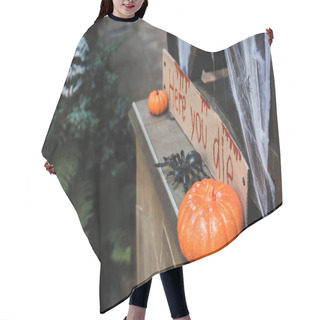 Personality  Carton Card With Here You Die Lettering Near Orange Pumpkins, Skull And Toy Spider On Porch Hair Cutting Cape