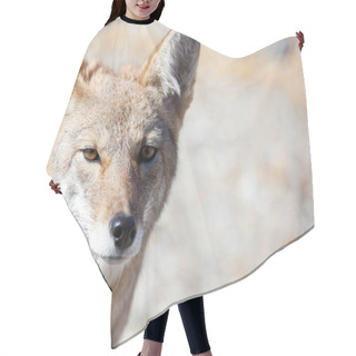 Personality  Coyote Hair Cutting Cape