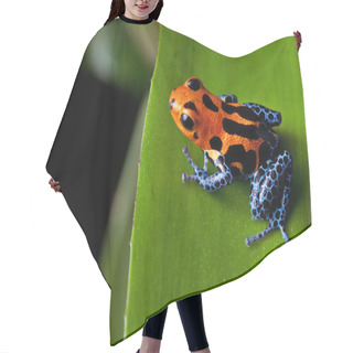 Personality  Red Striped Poison Dart Frog Blue Legs Hair Cutting Cape