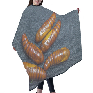 Personality  Pupa Of Cotton Bollworm On Black Background Hair Cutting Cape