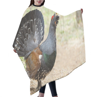 Personality  Wood Grouse In The Woods Hair Cutting Cape