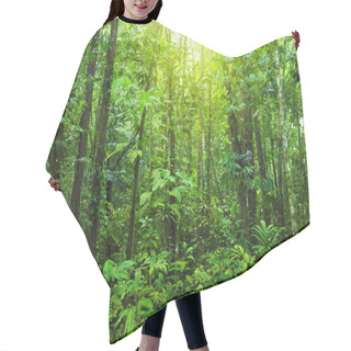 Personality  Dense Forest. Hair Cutting Cape