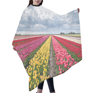 Personality  Many Colorful Tulips On Fields Hair Cutting Cape