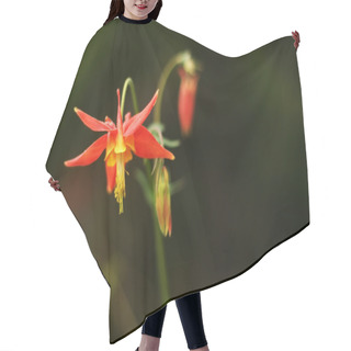 Personality  Indian Paintbrush Hair Cutting Cape