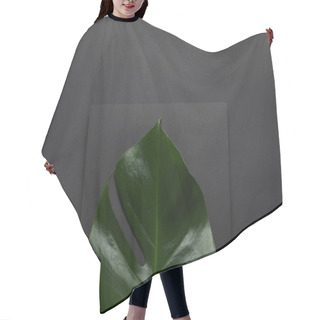 Personality  Monstera Leaf Over Black Notebook On Black Background Hair Cutting Cape