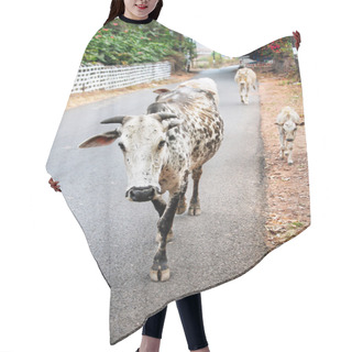 Personality  Cows Walking In Goa Hair Cutting Cape