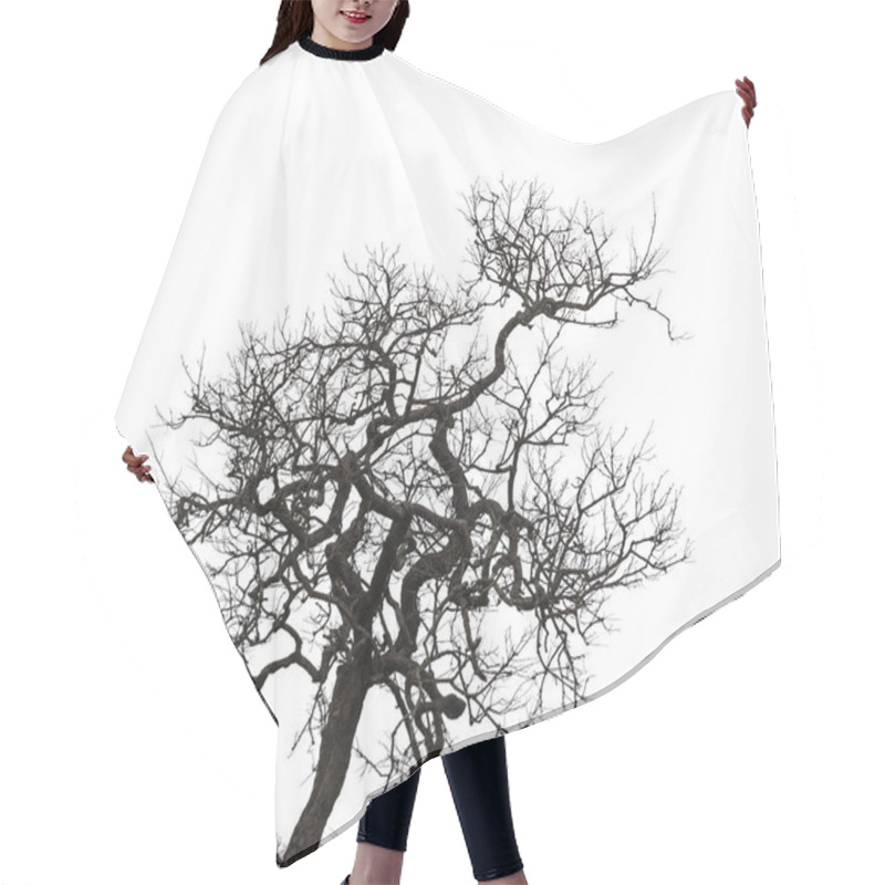 Personality  Silhouette Dead Tree Hair Cutting Cape