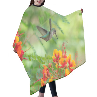 Personality  Green Anna's Hummingbird Hovering Over Colorful Flowers Hair Cutting Cape