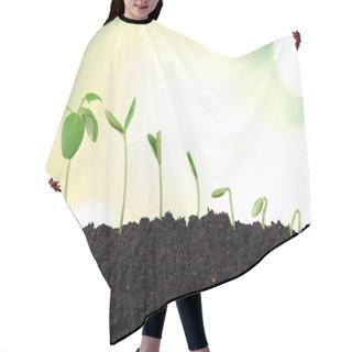 Personality  Growth Of New Life Hair Cutting Cape