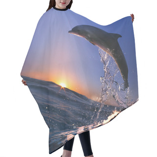 Personality  Beautiful Dolphin Jumped From Watrer At The Sunset Time Hair Cutting Cape