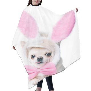 Personality  Chihuahua Wearing Funny Costume Hair Cutting Cape