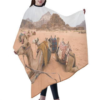 Personality  Bedouin Camels Taking A Rest Hair Cutting Cape