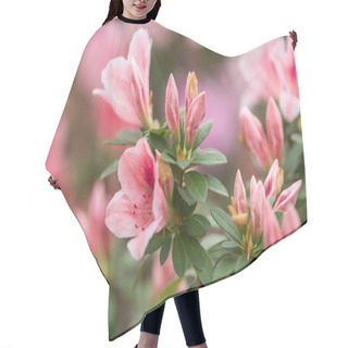Personality  Close-up View Of Beautiful Tender Pink Flowers And Buds With Green Leaves Hair Cutting Cape