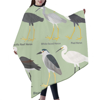 Personality  Cute Wading Bird Vector Illustration Set, White-faced Heron, White-necked, Pied, Pacific Reef Heron, Black-crowned Night Heron, Little Egret, Colorful Bird Cartoon Collection Hair Cutting Cape