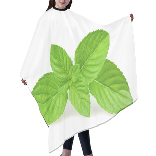 Personality  Mint Leaves Hair Cutting Cape