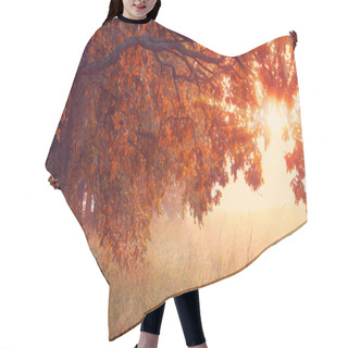 Personality  Sunny Autumn Scene. Hallowing Time Background. Hair Cutting Cape