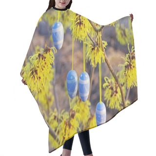 Personality  Hamamelis Shrub In Easter Time Hair Cutting Cape