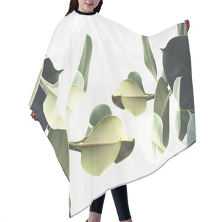 Personality  Double Exposure Of Plants Hair Cutting Cape
