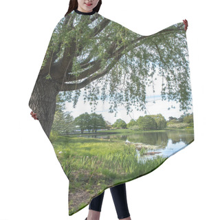 Personality  A Beautiful Landscape View Of A Large Mature Weeping Willow Tree Framing The View Along The Shoreline Of A Pond With The Trees Reflecting On The Calm Water Beyond On The Opposite Shore. Hair Cutting Cape