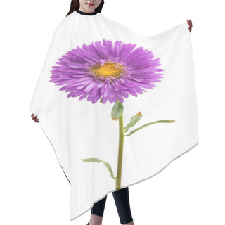 Personality  Aster Flower Isolated On White Background Hair Cutting Cape