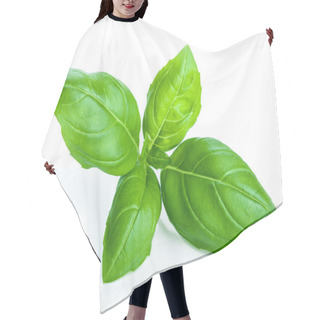 Personality  Basil Isolated Hair Cutting Cape