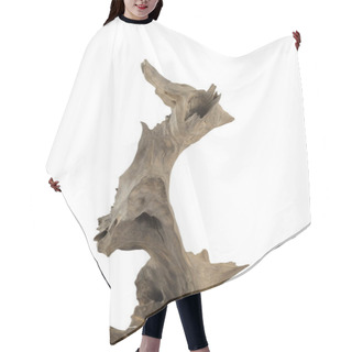 Personality  Product From The Roots Of Oak In White Background. Hair Cutting Cape