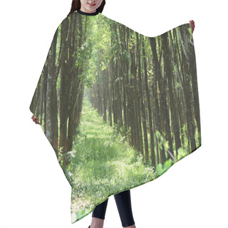 Personality  Rubber Tree Hair Cutting Cape