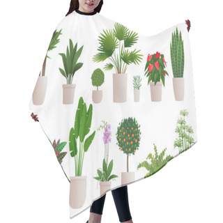 Personality  Set Of Decorative Houseplants To Decorate The Interior Of A Hous Hair Cutting Cape