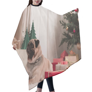 Personality  Pug With Christmas Gift Hair Cutting Cape