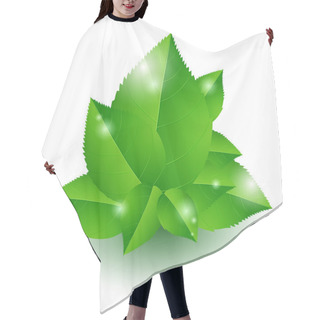 Personality  Vector Illustration Of Green Leaves. Hair Cutting Cape