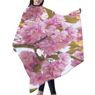 Personality  Double Cherry Blossom In An English Garden Hair Cutting Cape