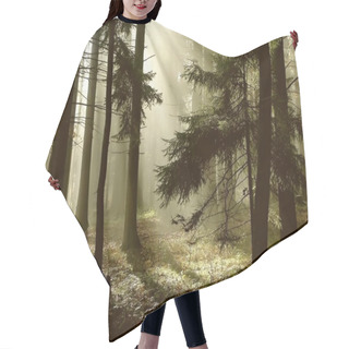 Personality  Coniferous Forest At Dawn Hair Cutting Cape