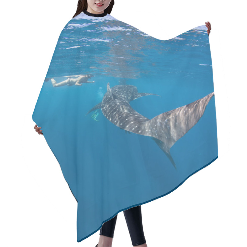 Personality  Young Whale Shark Hair Cutting Cape