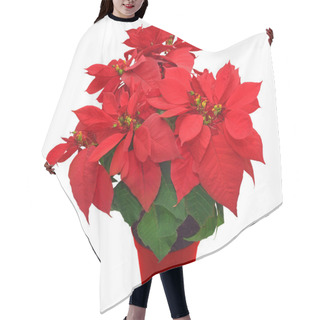 Personality  Red Poinsettia Hair Cutting Cape