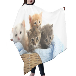 Personality  Small Kittens In Straw Basket Hair Cutting Cape