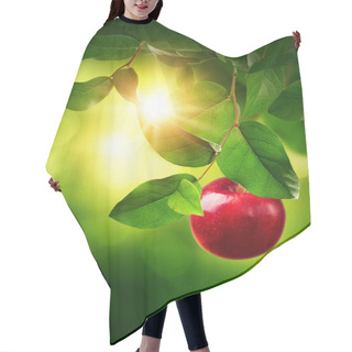 Personality  Red Apple On A Tree Hair Cutting Cape