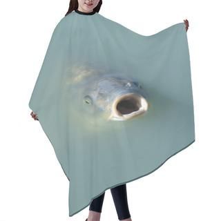 Personality  Hungry Fish Hair Cutting Cape