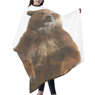 Personality  The Taxidermy Of A Kamchatka Brown Bear On White Background Hair Cutting Cape