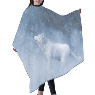 Personality  3D Rendering Of A Majestic White Wolf In Snow. Hair Cutting Cape